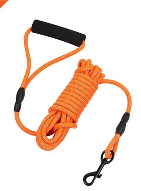 Hot New Luminous Type Floatable Nylon Pet Leash Metal Hook