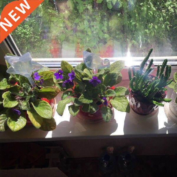 Self Watering Balls Automatic Plant Watering Bulbs House