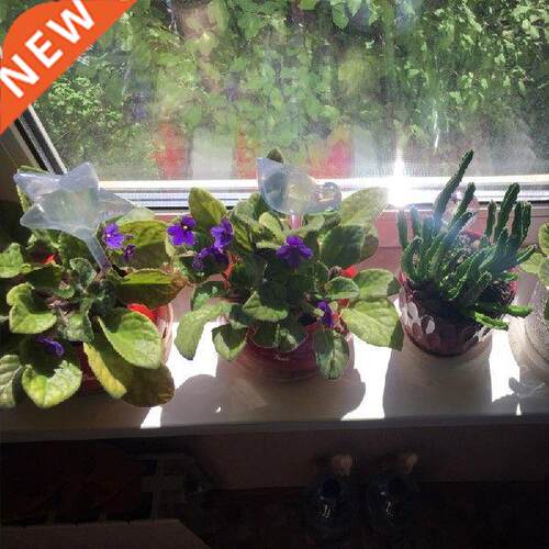 Self Watering Balls Automatic Plant Watering Bulbs House