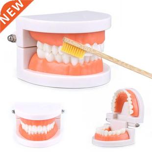 Montessori Educational Toys for Children Early Learning Kids