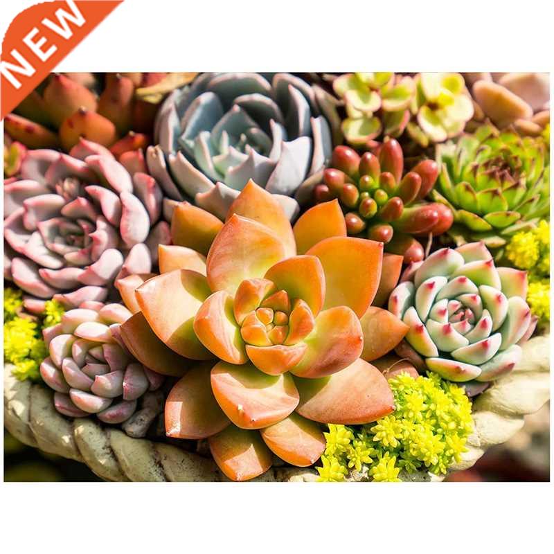 dult Dimond Pinting Full Dimond Dimond Gem Pint Crft