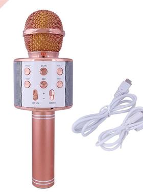 2021 HOT Bluetooth Karaoke Microphone Wireless Microphone Pr