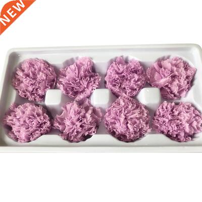 8Pcs Preserved Flower Head Carnation Decorative Dried