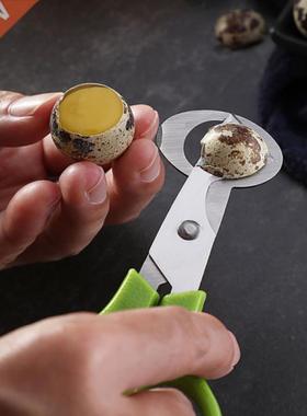 Quail Egg Scissors Bird Egg Scissors Stainless Steel Egg