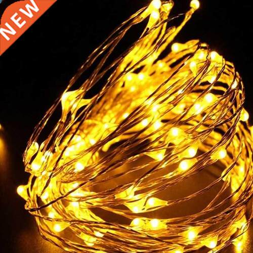 2M 5M 10 100LEDS Starry String battery lights garland fair