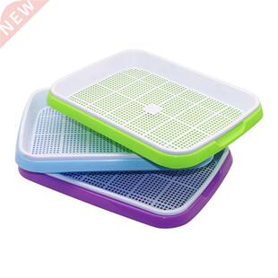 Bean Sprouts Hydroponic Double Layer tray Growing Vegetables