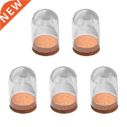 Glass Cloche Doom Cover Jar Case w/ Wooden Base DIY