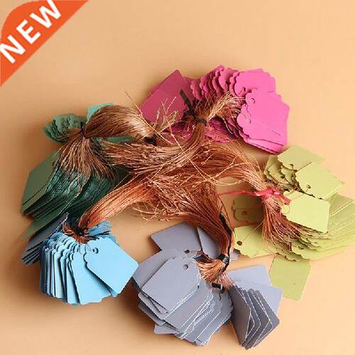 100PCS/Lot Colorful Garden Plant Markers Bonsai Succulent