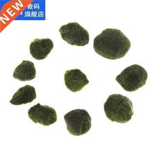 2CM-5CM Marimo Moss Ball Fake Stone Simulation Plant  Dec