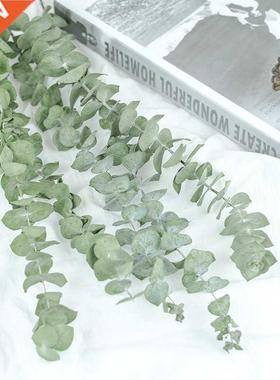 10/20PCs Real Natural Eucalyptus Leaves Dried Flower Wedding