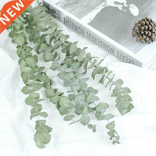 10/20PCs Real Natural Eucalyptus Leaves Dried Flower Wedding