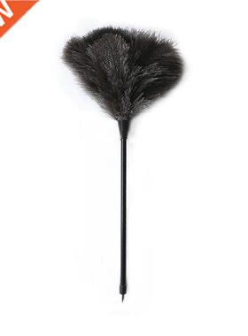 Mini Long Handle Household Ostrich Feather Duster Home