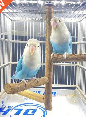 Bird Parrots Stand Bar Toy Parrot Bite Chew Toys Swing Pet