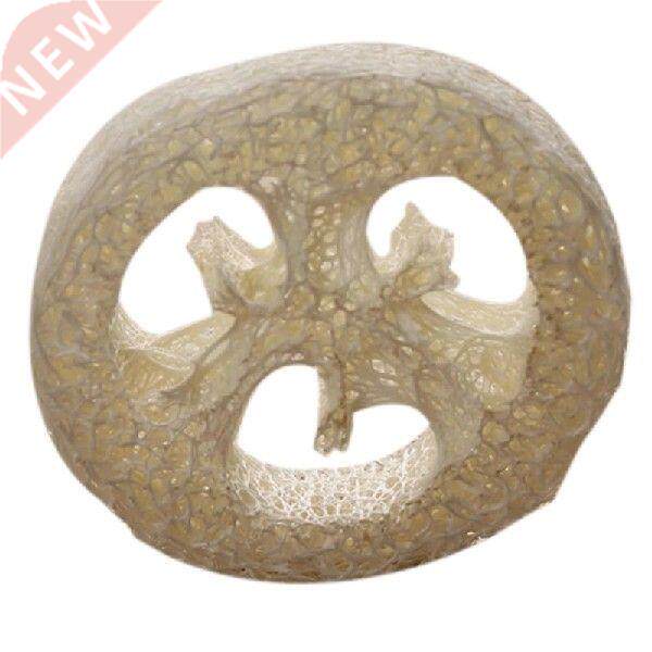 150Pcs Natural Loofah Luffa Loofa Slices Handmade Loofah