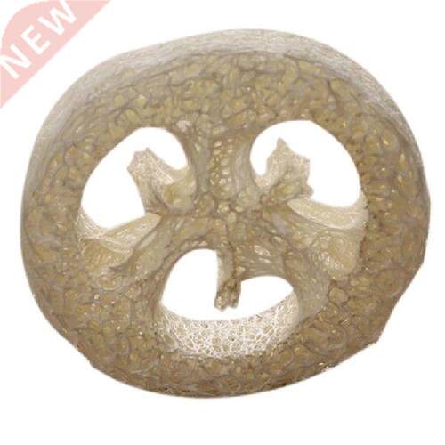 150Pcs Natural Loofah Luffa Loofa Slices Handmade Loofah