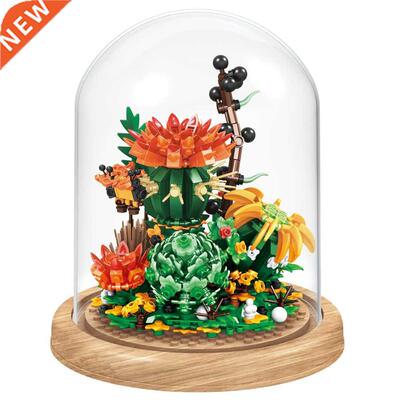 2022 City Creativity Immortal Flower Blossoms Succulent Plan