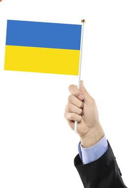 10pcs Mini Stick Flags Decorations Small Ukrainian Flags