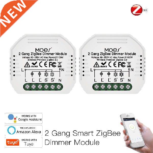 Mini  Tuya Zigbee Smart 2 / Gang Light Dimmer Module Hub