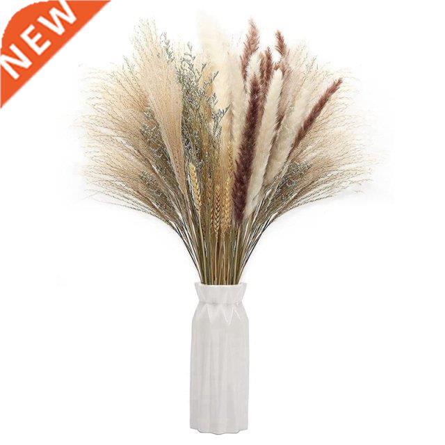 Dried Pampas Grass,Pampas Grass Decor,Pampas Pampas Grass Pl