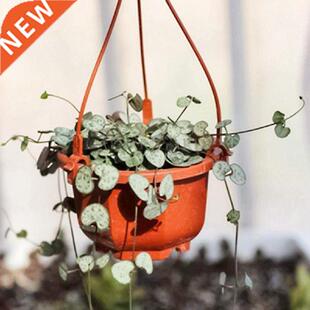 Home Office Flower Pot Drainage Hole Plastic Modern Hanging