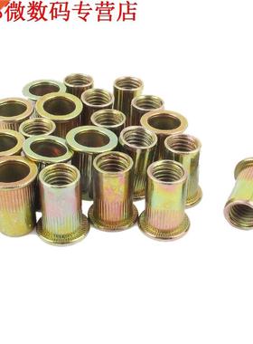 20pcs Platte Kop Staal M10 Blind Insert Rivet Nut Rivnut