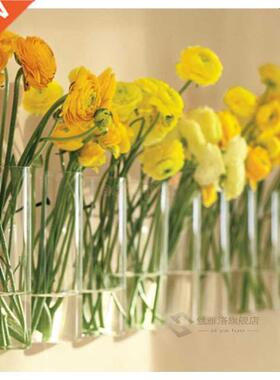 3 Pieces Cylinder Wall Hanging Glass Vase Plants Flowers Hyd