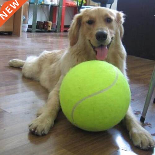 24CM Giant Tennis Ball For Dog Chew Toy Big Inflatable Tenni