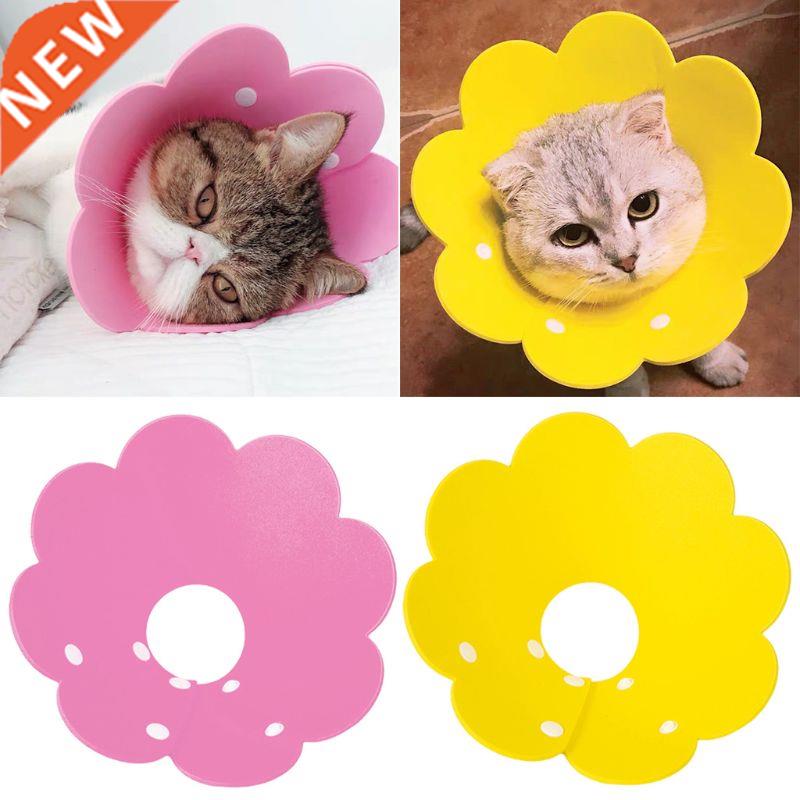 Cat Recovery Collar Elizabethan Collar Wound Healing