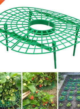 Plant Tray Rack Plastic Strawberry Growing Support Stand