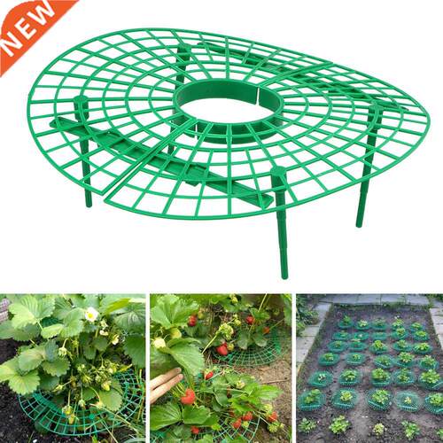 Plant Tray Rack Plastic Strawberry Growing Support Stand