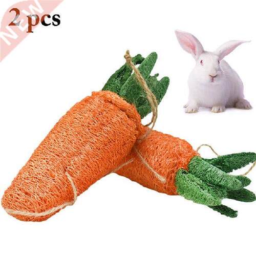 2PCS Cute Rabbit Hamster Carrot Shape Molar Toy Bite