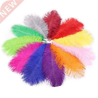 10Pcs/Lot Natural Colorful High Quality Ostrich Feathers