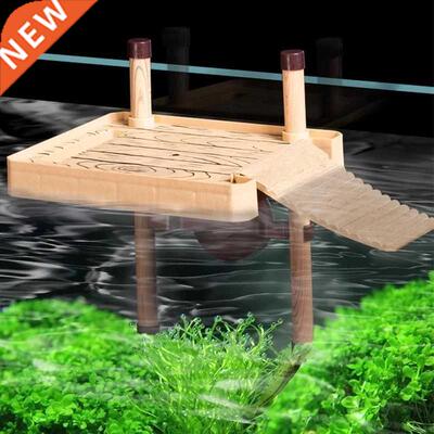 Tortoise terrace Brazilian water turtle Floating island turt