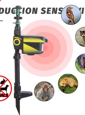 Outdoor Solar-Powered Motion Activated Sprinkler Rodent