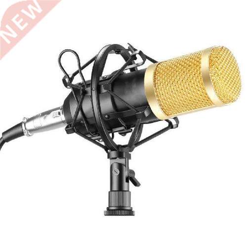 BM800 condenser recording studio broadcast singing
