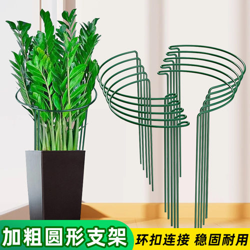 花支撑架金钱树植物花支架支撑杆