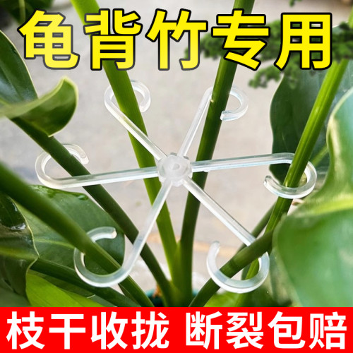 龟背竹支撑杆枝干收拢架