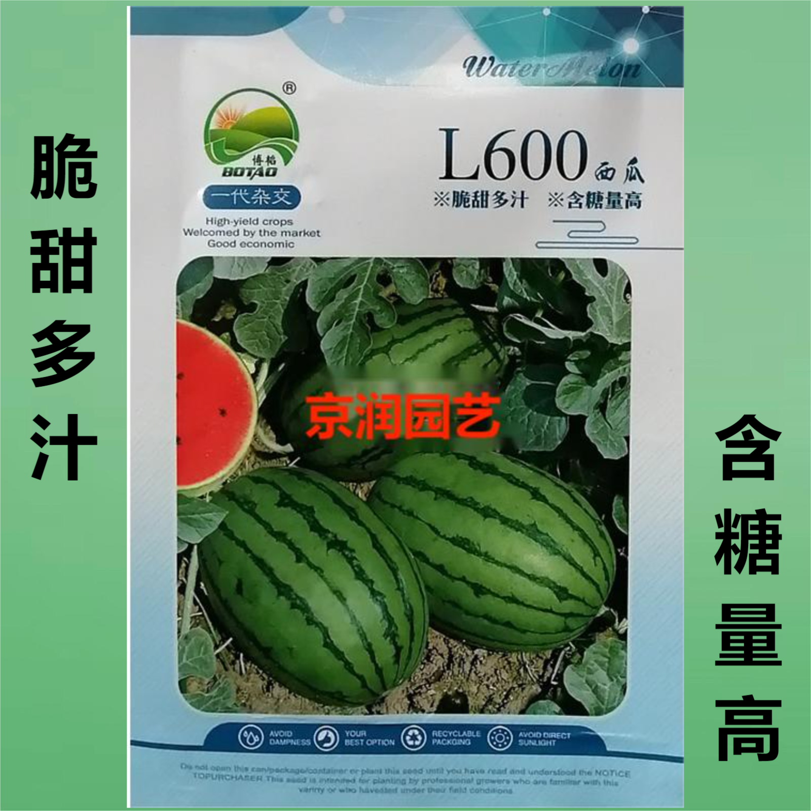 l600西瓜种子 脆甜多汁 含糖量高 吊瓜种籽 礼品小西瓜 果肉大红