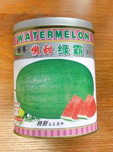 博赛懒甜绿霸懒汉西瓜种子 不整支不打杈特易坐果 耐重茬甜度高