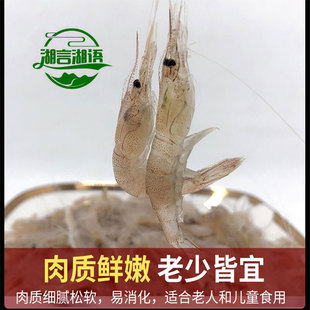 鲜活河虾新鲜淡水小河虾青虾草虾白虾明虾微山湖大淡水虾清水土虾
