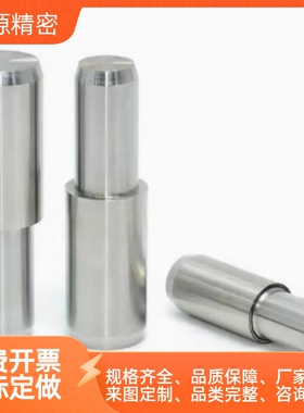 FPBTA6定位销GFPBTA8T-P9.9-L6-B6定做GFPNA6-P10-L6-B8