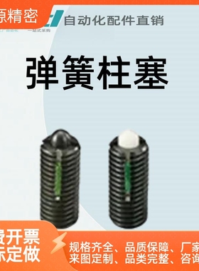 柱塞弹簧柱塞（带长锁）LPL/LPLH/LPLL/LPLN/LPLNL-5/6/8