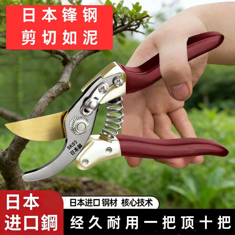 原装日本进口SK5粗枝剪树枝剪绿植强力园艺剪刀修剪树枝果树园林