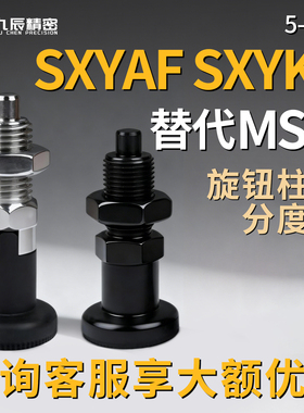 旋钮柱塞SXYAF SXYKF 5 6 8 8L 10 10L 12 12L 16 16L 平头自锁型