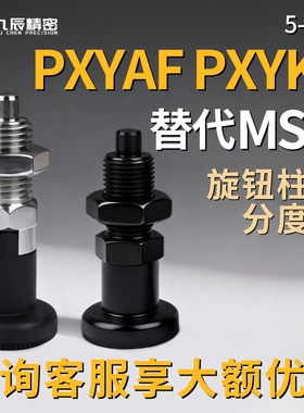旋钮柱塞PXYAF PXYKF 5 6 8 8L 10 10L 12 12L 16 16L 平头自锁型