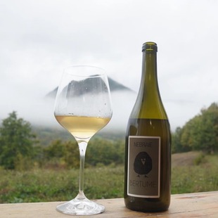 奇迹复生的小品种意大利迪莫拉索芳香型干白葡萄酒女生酒