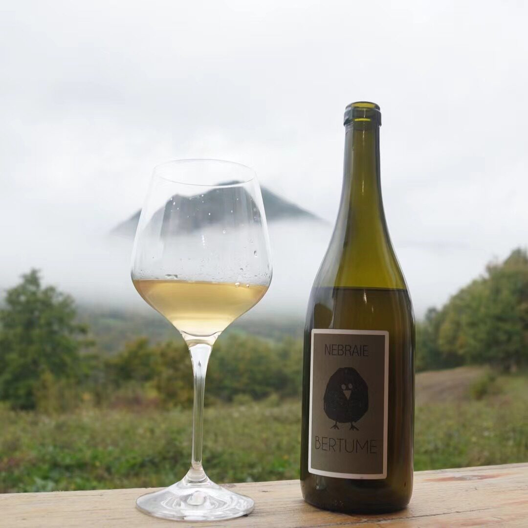 奇迹复生的小品种意大利迪莫拉索芳香型干白葡萄酒女生酒