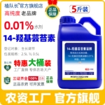 0.01%14羟基芸苔素正品大包装 农药厂家整箱批发 水稻增产调节剂