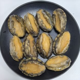 新鲜冷冻鲍鱼肉10头鲍去壳去肚1斤20只肉商用宴会盆菜佛跳墙包邮