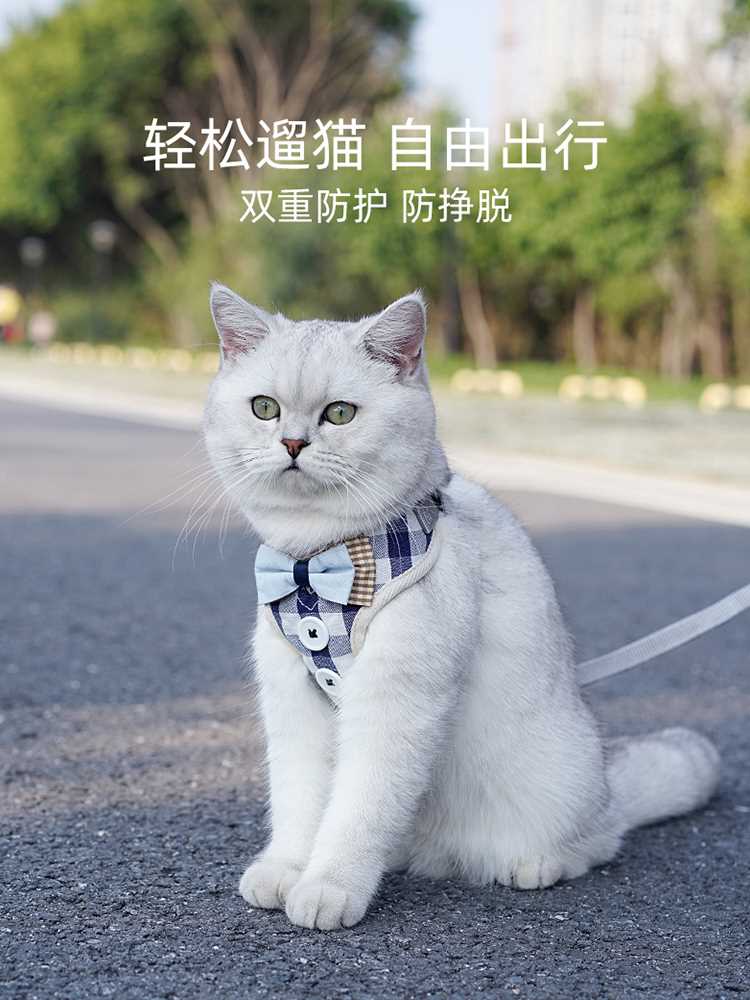 宠物猫咪牵引绳防挣脱背心式背带猫咪外出专用遛猫绳子栓猫链子